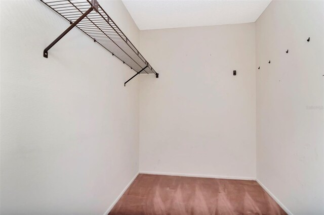 5101 Estates Cir, Sarasota, FL 34243 - spacious closet with light carpet