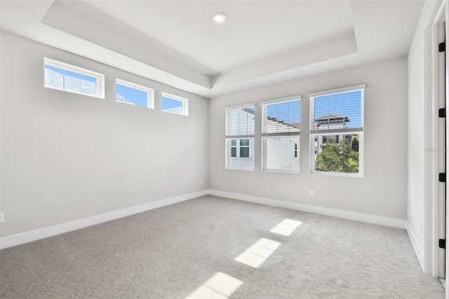 4717 W Mccoy St Unit 9, Tampa, FL 33616 - spare room with a raised ceiling, light carpet, and baseboards