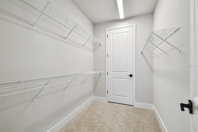 4717 W Mccoy St Unit 9, Tampa, FL 33616 - walk in closet with light colored carpet