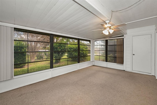 2446 Bentley Dr, Palm Harbor, FL 34684 - unfurnished sunroom with plenty of natural light, carpet, and ceiling fan