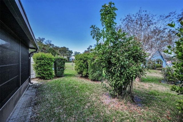 2446 Bentley Dr, Palm Harbor, FL 34684 - view of yard