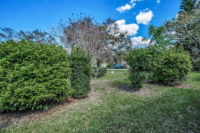 2446 Bentley Dr, Palm Harbor, FL 34684 - view of yard