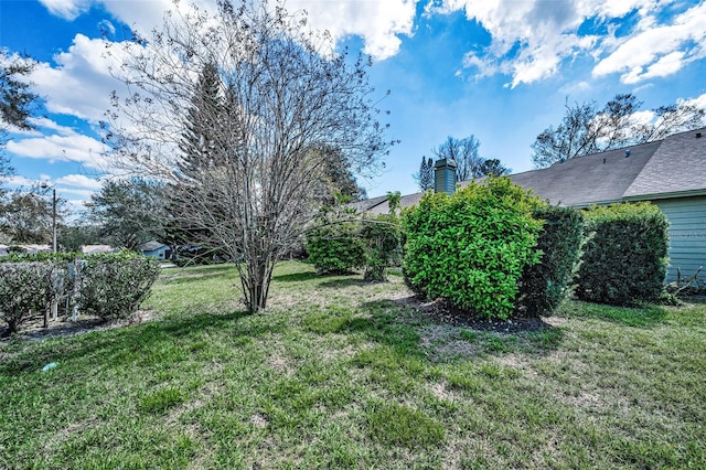 2446 Bentley Dr, Palm Harbor, FL 34684 - view of yard