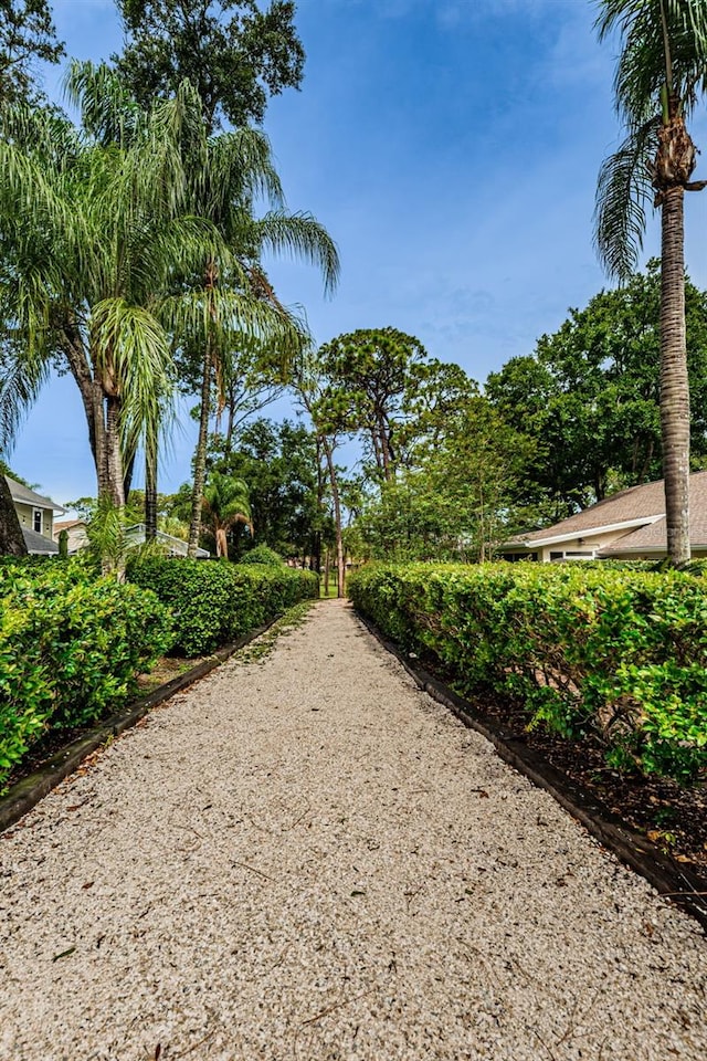 2446 Bentley Dr, Palm Harbor, FL 34684 - view of surrounding community