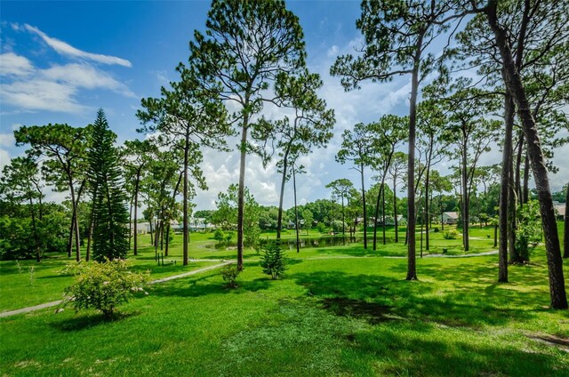 2446 Bentley Dr, Palm Harbor, FL 34684 - view of community with a yard