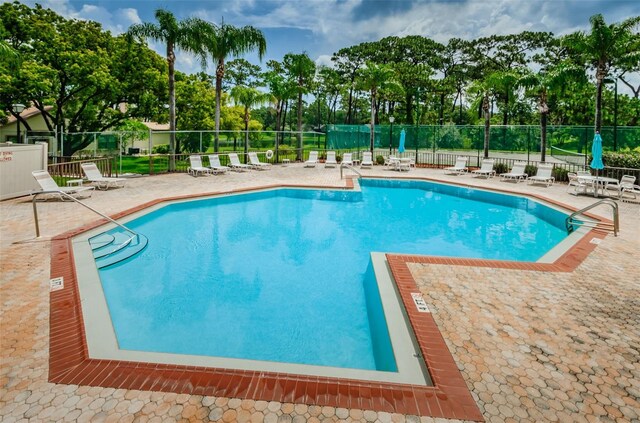 2446 Bentley Dr, Palm Harbor, FL 34684 - community pool with a patio area and fence