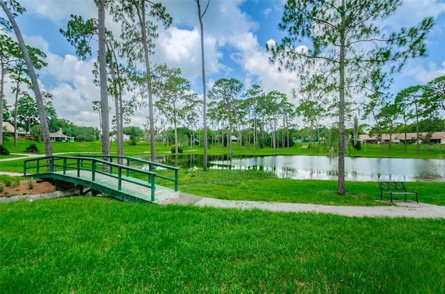 2446 Bentley Dr, Palm Harbor, FL 34684 - view of home's community featuring a water view and a yard