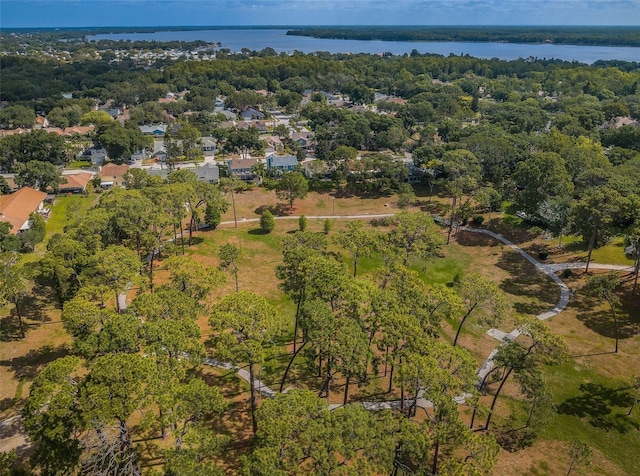 2446 Bentley Dr, Palm Harbor, FL 34684 - aerial view with a forest view and a water view