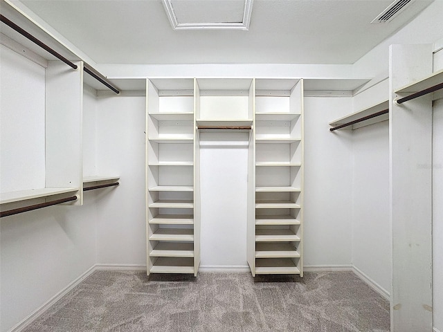 spacious closet with carpet and visible vents