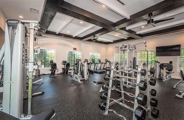 exercise room with visible vents, plenty of natural light, and a ceiling fan