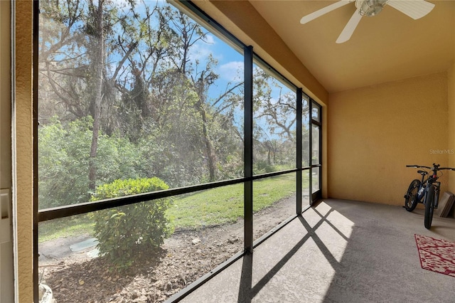 8421 Pine River Rd, Tampa, FL 33637 - photo 25