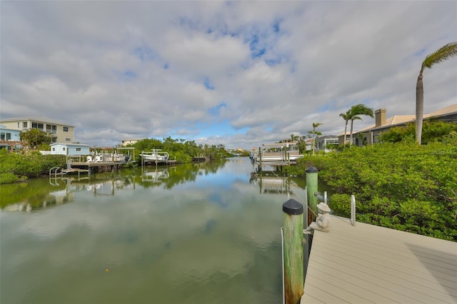 dock area with a water view