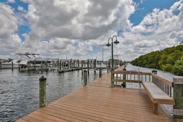 dock area with a water view