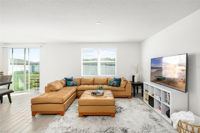 living room with a textured ceiling and wood finished floors