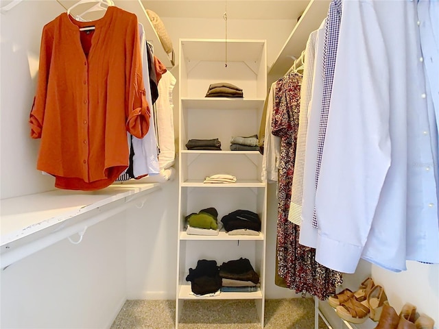 walk in closet with carpet flooring