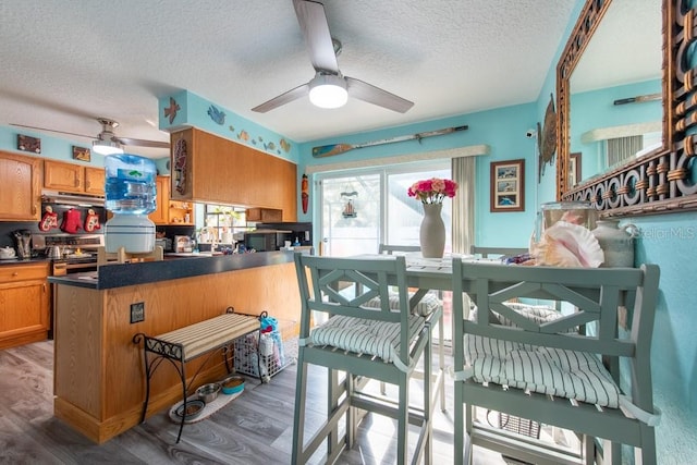 kitchen with a ceiling fan, dark countertops, electric range, and wood finished floors