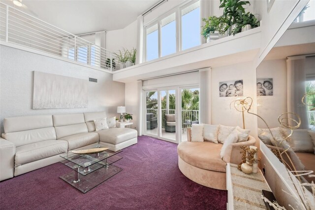 17404 1st St E, Redington Shores, FL 33708 - living room with carpet and a high ceiling