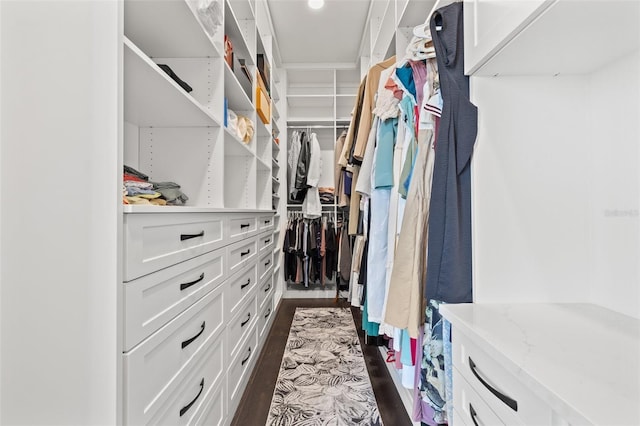 spacious closet featuring dark wood finished floors