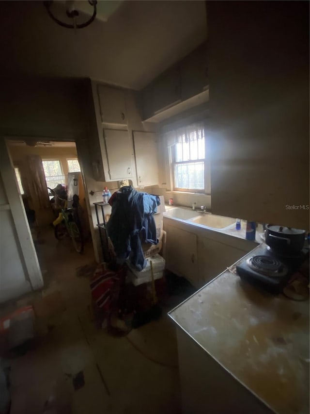 interior space with a sink and a wealth of natural light