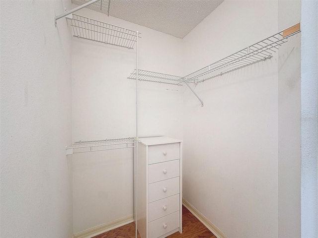 walk in closet featuring wood finished floors