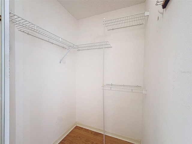 spacious closet with wood finished floors