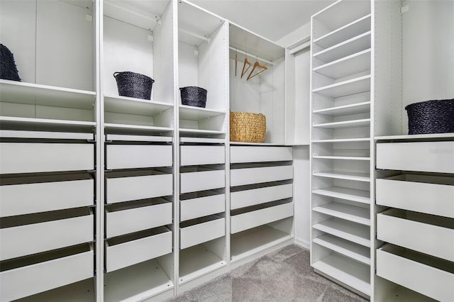 walk in closet with carpet flooring