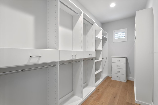 spacious closet featuring light wood-type flooring