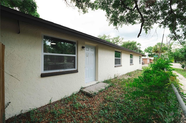 8319 N 14th St, Tampa, FL 33604 - entrance to property featuring stucco siding