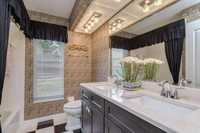 bathroom with a sink, a healthy amount of sunlight, and toilet