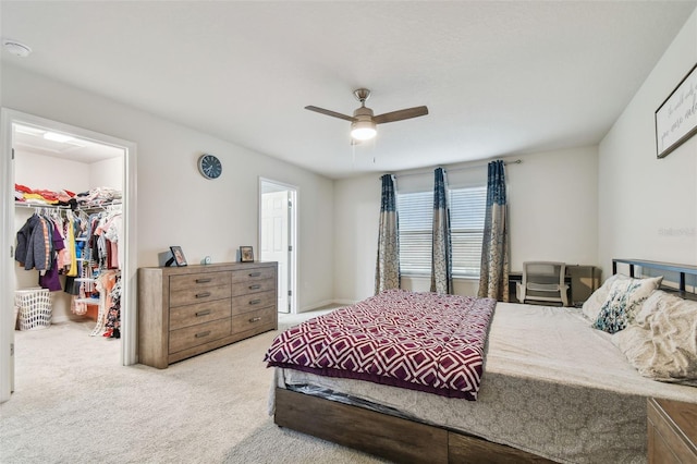 bedroom featuring ceiling fan, a closet, carpet, and a walk in closet