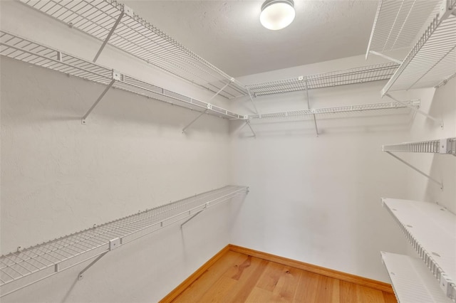 spacious closet with light wood-type flooring