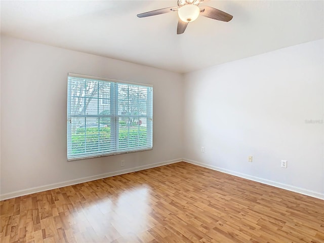 5351 Lookout Pass, Wesley Chapel, FL 33544 - unfurnished room with light wood-style floors, a ceiling fan, and baseboards