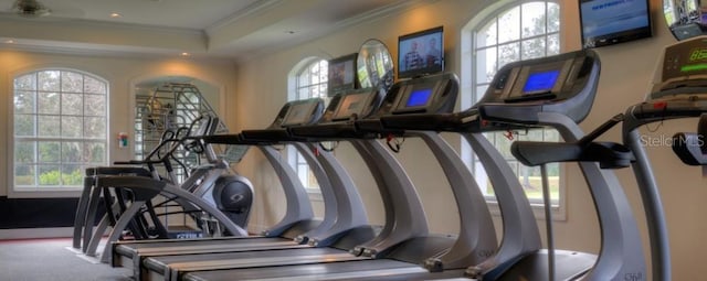 5351 Lookout Pass, Wesley Chapel, FL 33544 - workout room featuring ornamental molding and a raised ceiling