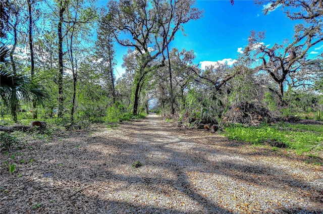 view of street featuring a view of trees