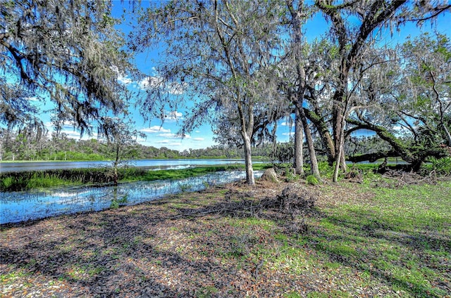 view of yard featuring a water view