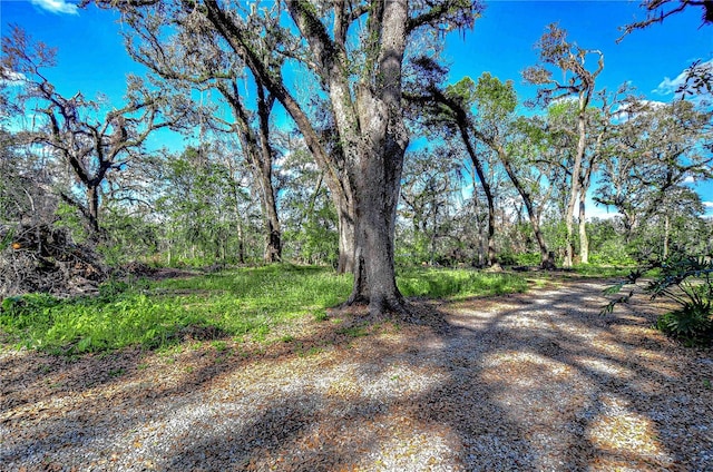 view of street with a wooded view