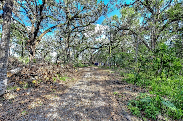 view of road featuring dirt driveway