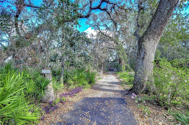 view of street with aphalt driveway and a view of trees