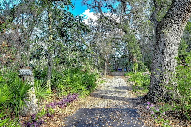 view of street with a wooded view