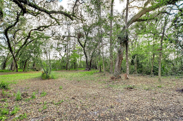 view of landscape featuring a forest view