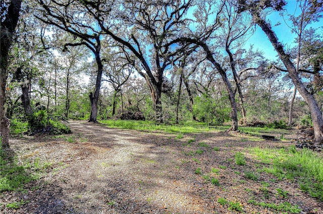 view of street featuring a forest view