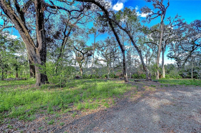 view of yard with a forest view