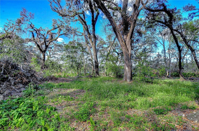 view of local wilderness featuring a forest view