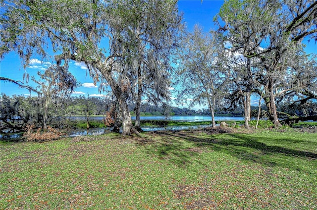 view of yard with a water view