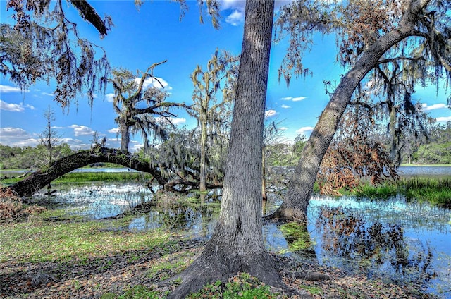 view of water feature