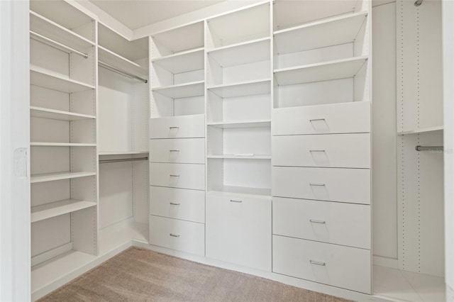 spacious closet with light carpet