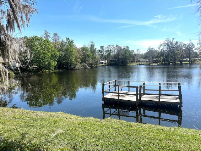 view of dock featuring a water view