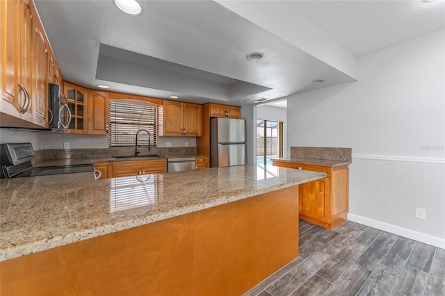 kitchen with dark wood-style floors, a peninsula, a tray ceiling, stainless steel appliances, and a sink