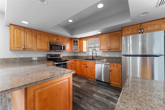 kitchen featuring visible vents, a raised ceiling, dark wood-style flooring, stainless steel appliances, and a sink