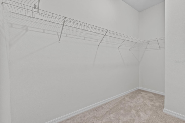 walk in closet featuring carpet flooring